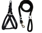 Nylon Padded Adjustable Dog Harness and Leash Rope
