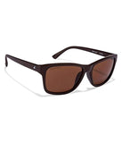 Fastrack UV Protected Men's Sunglasses (Brown)