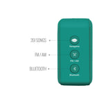 Saregama Carvaan Mini 2.0- Music Player with Bluetooth/FM/AM/AUX