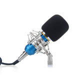 Studio Recording Dynamic Professional Condenser Microphone Set