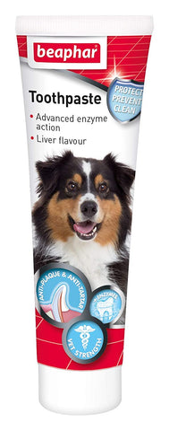 Toothpaste for Dogs and Cats