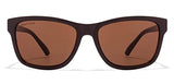 Fastrack UV Protected Men's Sunglasses (Brown)