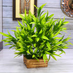 Artificial Bamboo Plant With Wood Pot